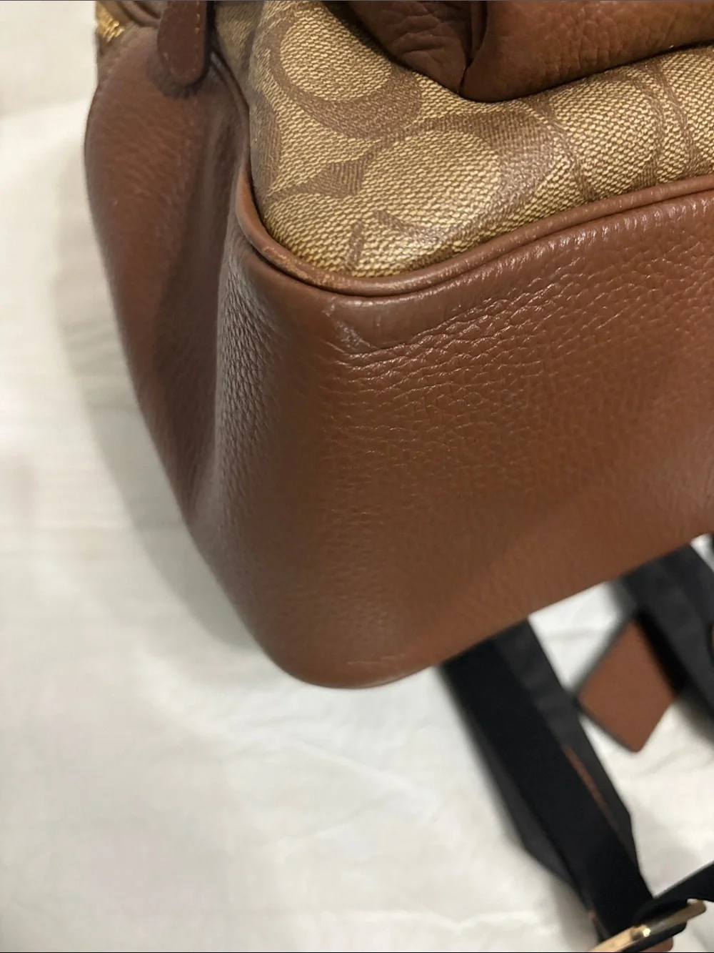 Coach Signature Canvas Backpack